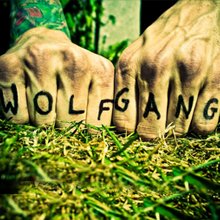 Wolf Gang